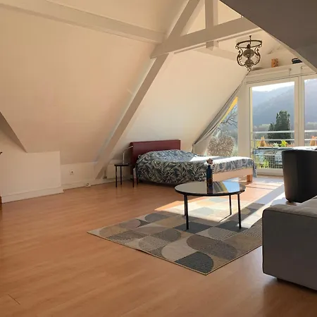 Les Euphorbes, Entre Vignes Et Montagnes Appartement *