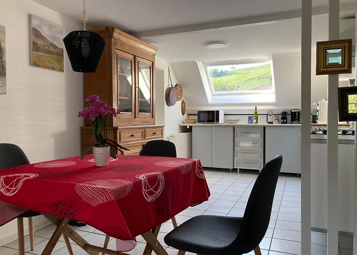 Appartement Les Euphorbes, Entre Vignes Et Montagnes Wihr-au-Val
