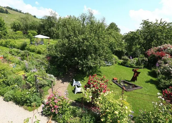 Les Euphorbes, Entre Vignes Et Montagnes Appartement Wihr-au-Val